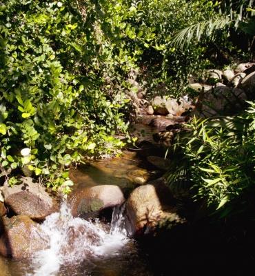 The Palm Seychelles – Piscine